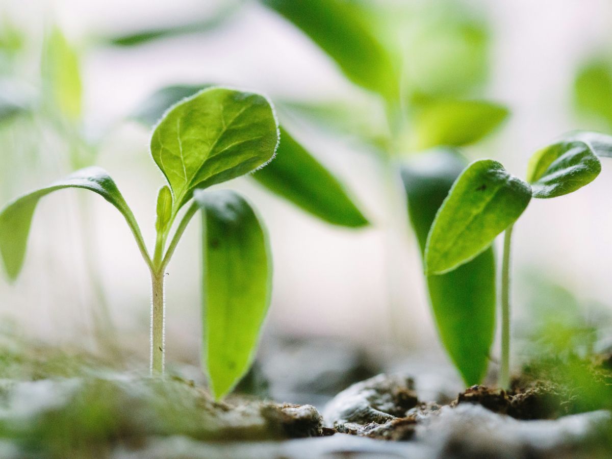 仕事の魅力・やりがい