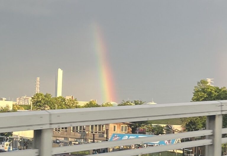 虹🌈